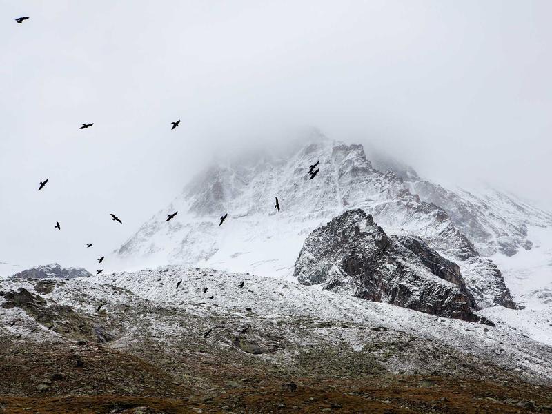 sudoku puzzle book screenshot 1